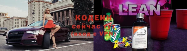 крисы Верхний Тагил