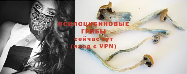 крисы Верхний Тагил