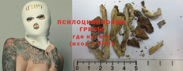 крисы Верхний Тагил