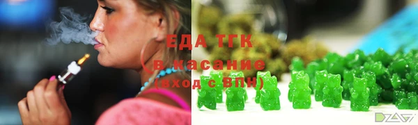 крисы Верхний Тагил