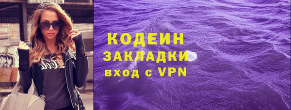 крисы Верхний Тагил