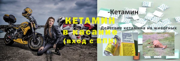 крисы Верхний Тагил