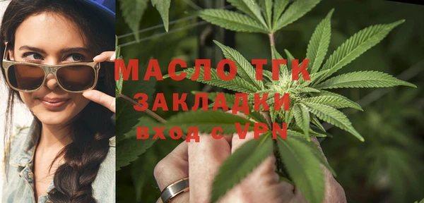 крисы Верхний Тагил