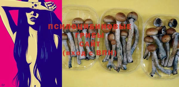 MESCALINE Верея