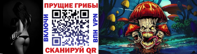 магазин продажи   KRAKEN ТОР  Псилоцибиновые грибы мицелий  Петровск 