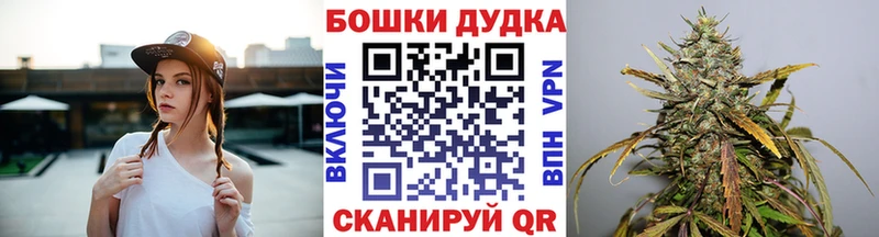 Бошки Шишки MAZAR  Петровск 